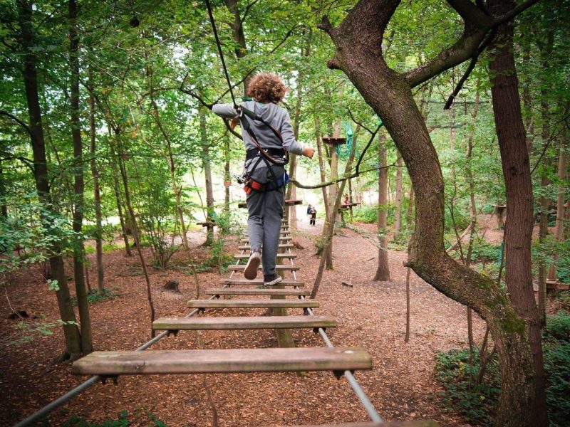 Cabane dans les arbres : parcours aventure suspendu au cœur dune forêt verdoyante.