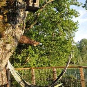 Hébergement insolite : cabane dans un arbre avec hamac suspendu et vue sur la nature.