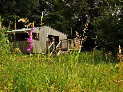 Cabane en bois au milieu de la nature, entourée de fleurs sauvages en Basse-Normandie.
