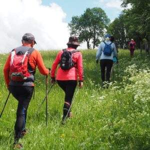 Groupe de randonneurs en pleine nature, chemin menant à un hébergement insolite en Basse-Normandie.