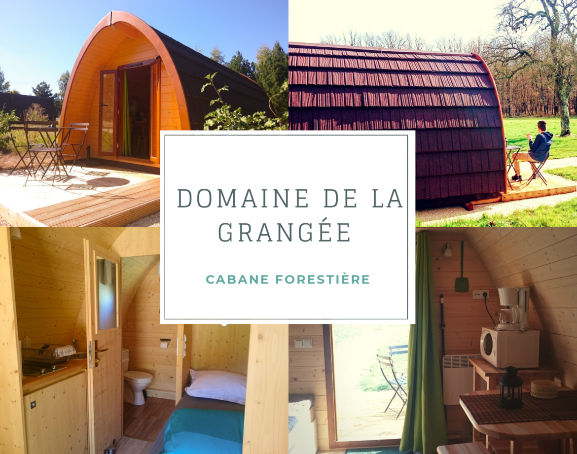 Cabane forestière au Domaine de la Grangée, avec un intérieur en bois chaleureux.