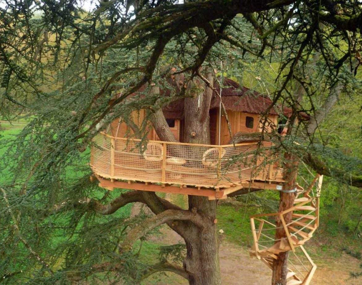 Cabane perchée dans un arbre, avec terrasse en bois et vue sur la nature environnante.