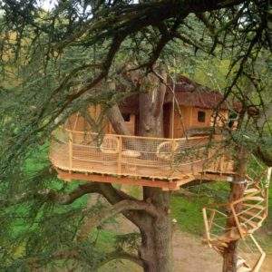 Cabane perchée dans un arbre, avec terrasse en bois et vue sur la nature environnante.