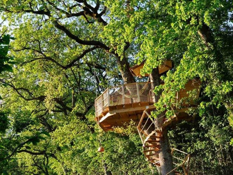 Cabane dans les arbres au cœur de la nature, entourée de feuillage verdoyant.