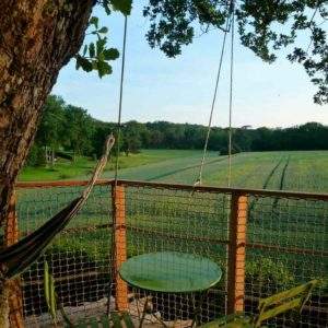 Cabane perchée dans un arbre, avec vue sur un champ verdoyant et une terrasse accueillante.