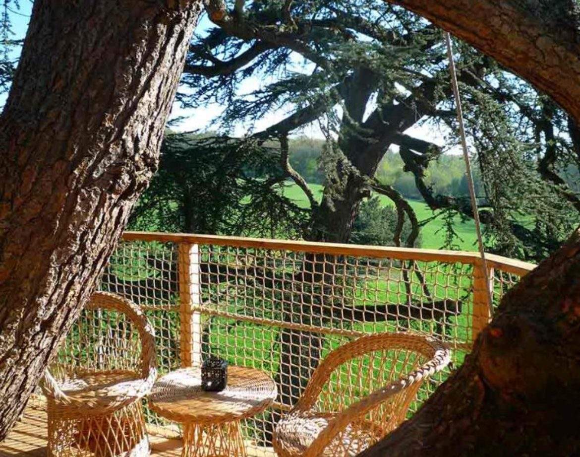 Cabane dans les arbres avec terrasse en bois, vue sur la verdure environnante.