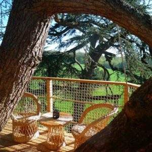 Cabane dans les arbres avec terrasse en bois, vue sur la verdure environnante.