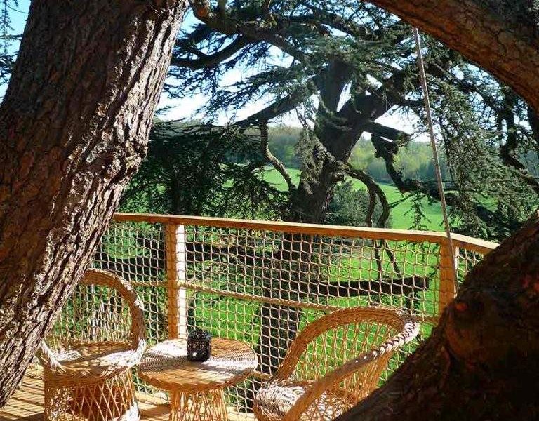 Cabane dans les arbres avec terrasse en bois, vue sur la verdure environnante.