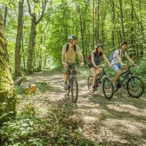 Trois cyclistes explorent une forêt verdoyante en Basse-Normandie, près dun hébergement insolite.