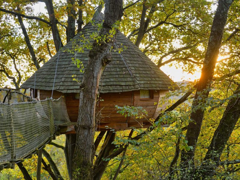 Cabane perchée dans les arbres, toit en ardoise, entourée de verdure dorée au coucher de soleil.