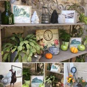 Étagère décorative dun hébergement insolite en Basse-Normandie, avec plantes et objets vintage.