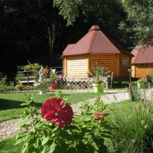 Cabane en bois à Champagne-Ardennes, entourée de fleurs colorées et verdure.