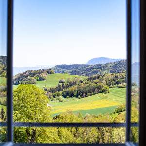 Vue panoramique depuis un chalet en bois, entouré de verdure en Auvergne-Rhône-Alpes.