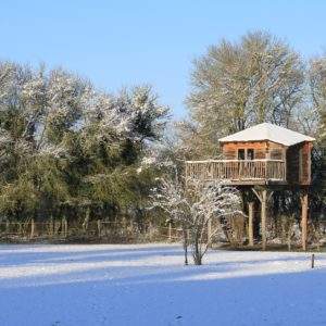 Cabane_dans_les_arbres_Family_Ecolodge_05