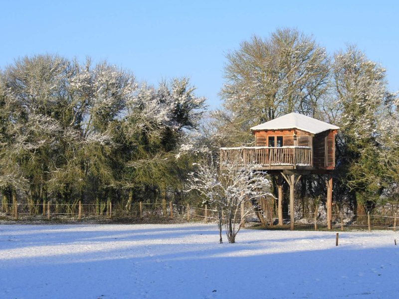 Cabane dans les arbres en bois, entourée de neige et de verdure.