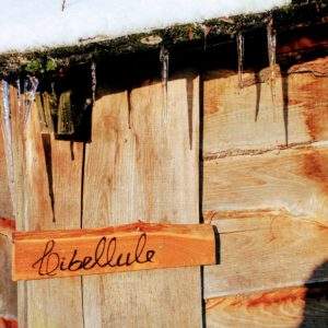 Cabane_sur_eau_Family_Ecolodge_04