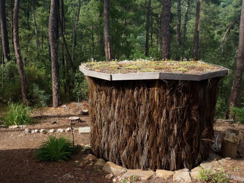 Hébergement insolite en forme de cabane, avec un toit végétal dans la forêt.
