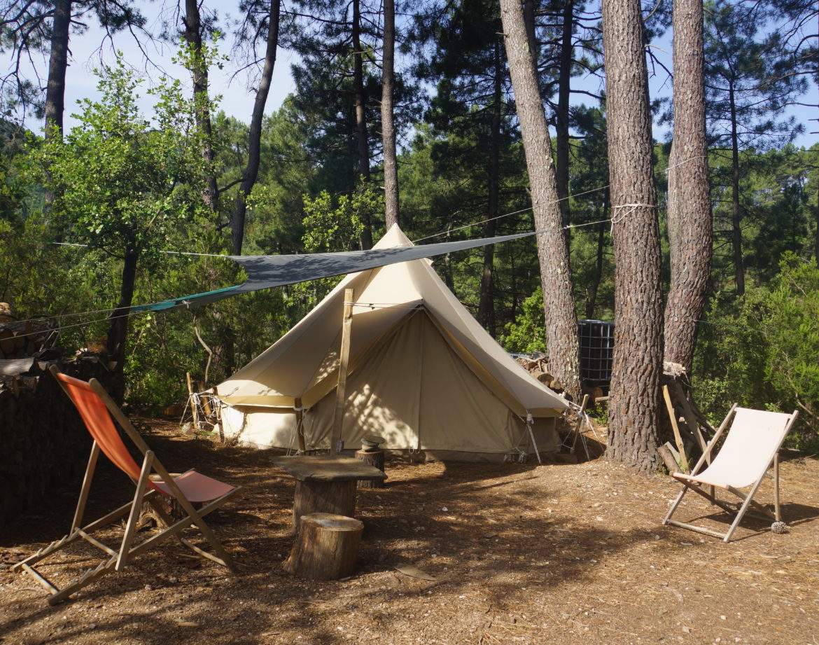 Tente safari au cœur de la nature, entourée de pins et de chaises confortables.