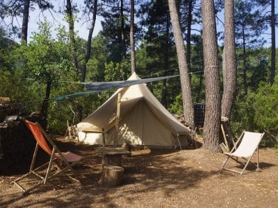 Tente safari au cœur de la nature, entourée de pins et de chaises confortables.