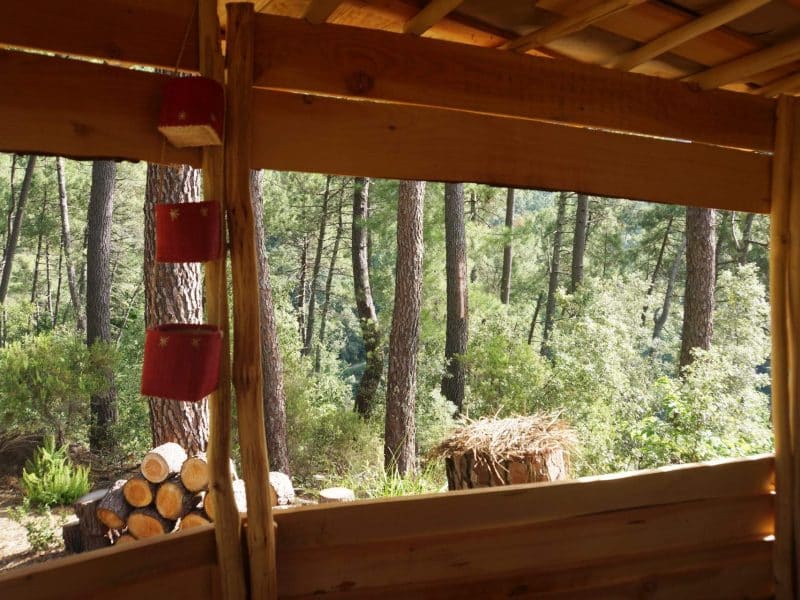 Cabane en bois avec vue sur la forêt verdoyante et des bûches empilées.
