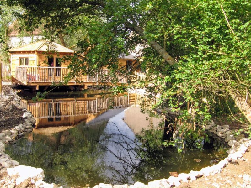 Chalet en bois au bord dun étang, entouré de verdure luxuriante.