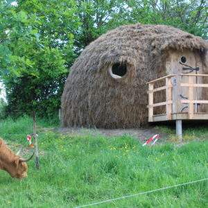 Hébergement insolite en forme de dôme en paille, entouré de verdure et dun vache.