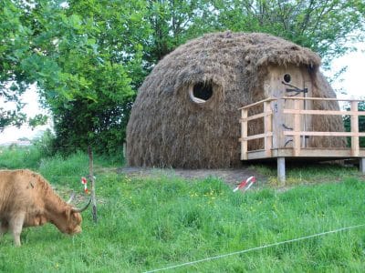 Hébergement insolite en forme de dôme en paille, entouré de verdure et dun vache.