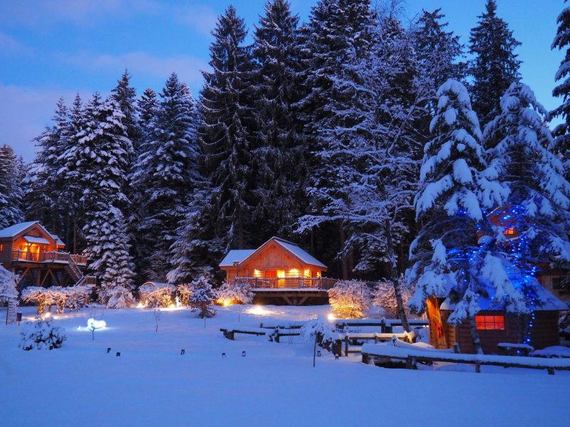 Chalets en bois illuminés, entourés de neige et de sapins majestueux.