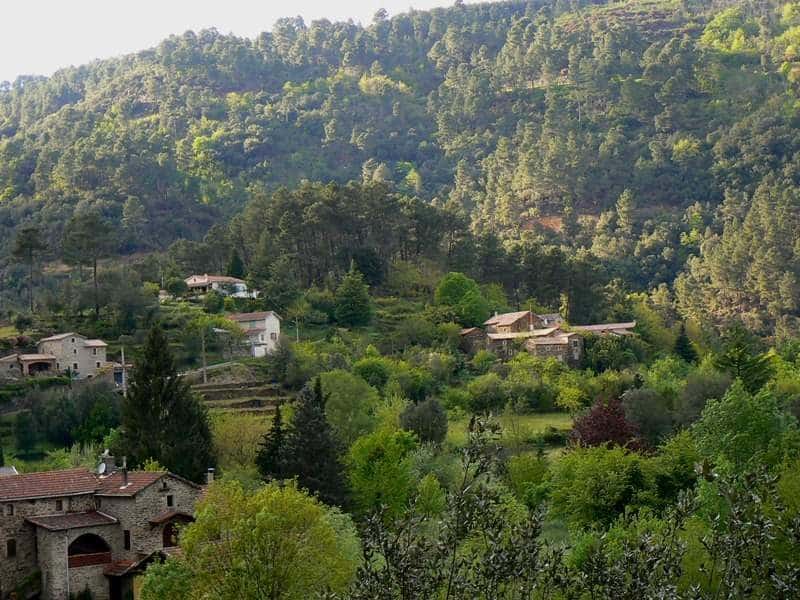 Charmants gîtes en pleine nature, entourés de verdure et de collines verdoyantes.