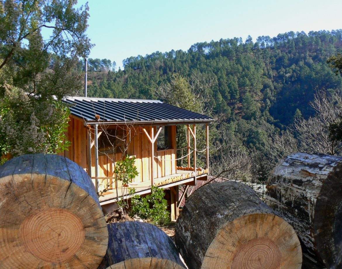 Cabane perchée en bois, entourée de troncs darbres et de verdure, vue sur la nature.