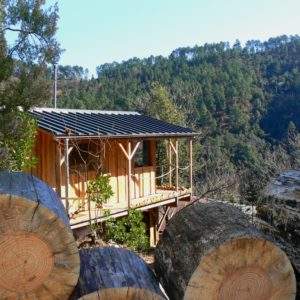 Cabane perchée en bois, entourée de troncs darbres et de verdure, vue sur la nature.