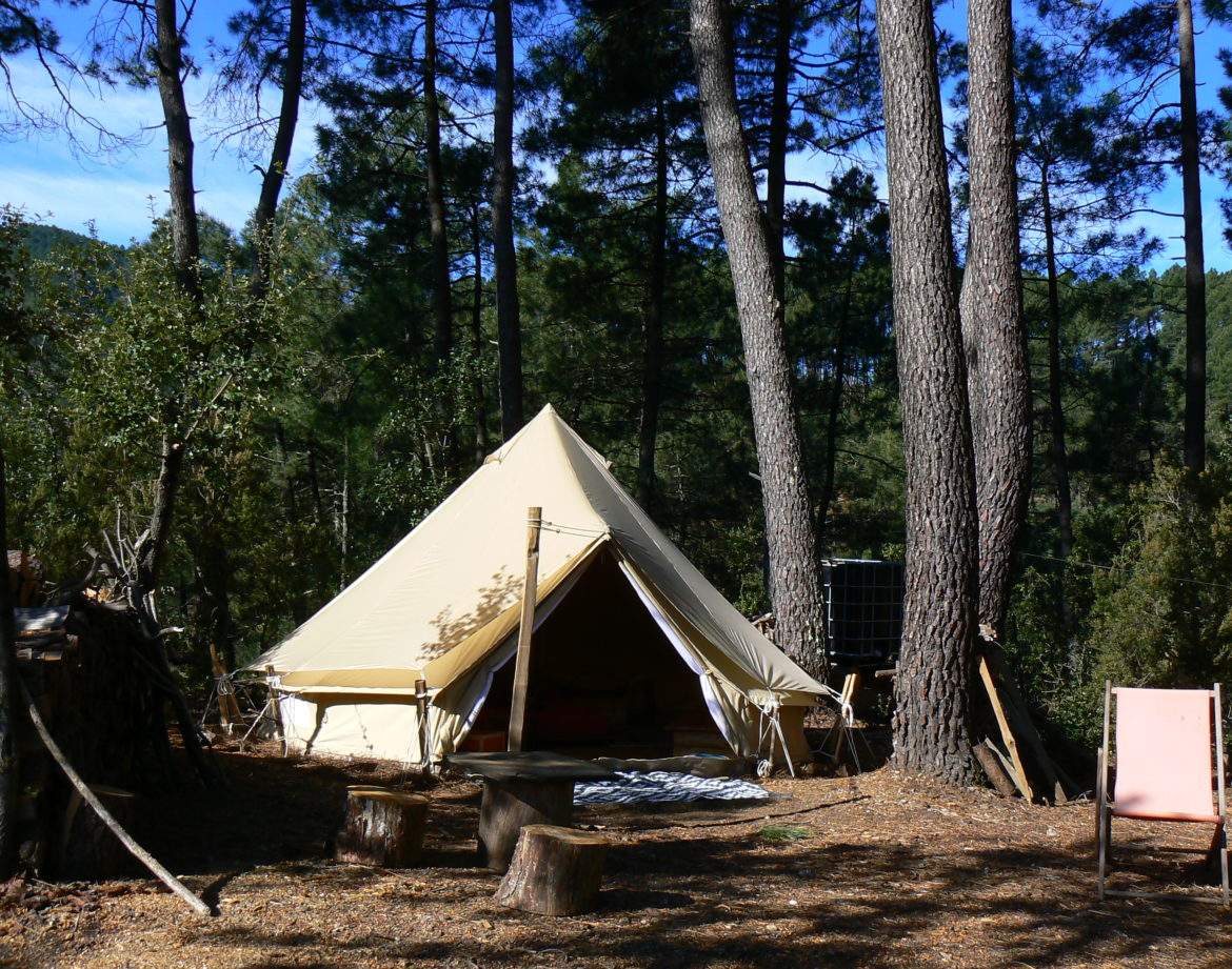 Tente safari en pleine nature, entourée de pins, avec un coin salon en bois.