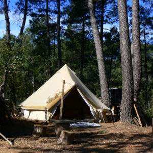 Tente safari en pleine nature, entourée de pins, avec un coin salon en bois.