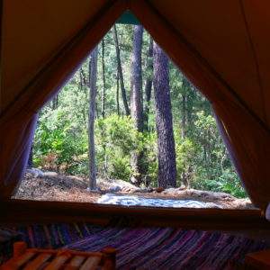Tente safari spacieuse avec vue sur la forêt verdoyante du Languedoc-Roussillon.