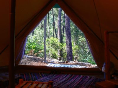 Tente safari spacieuse avec vue sur la forêt verdoyante du Languedoc-Roussillon.