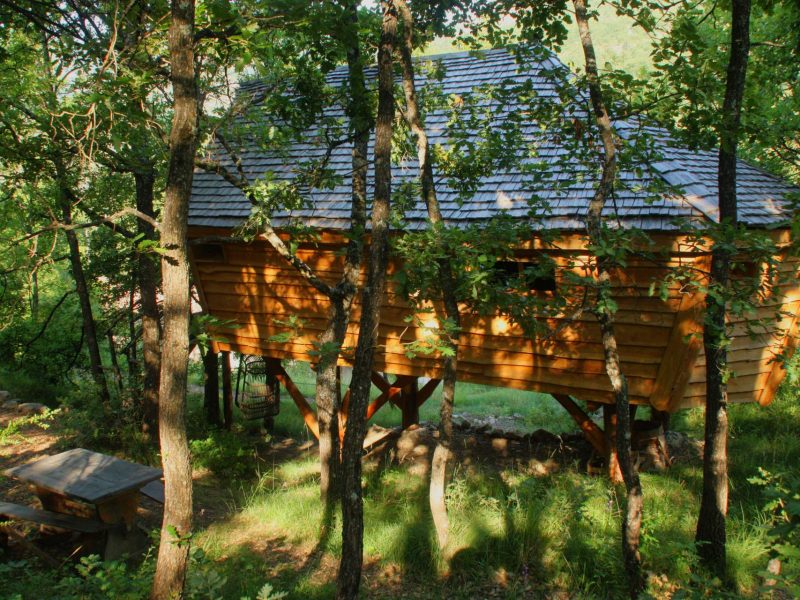 Cabane dans les arbres en bois, nichée parmi les feuillages verdoyants.