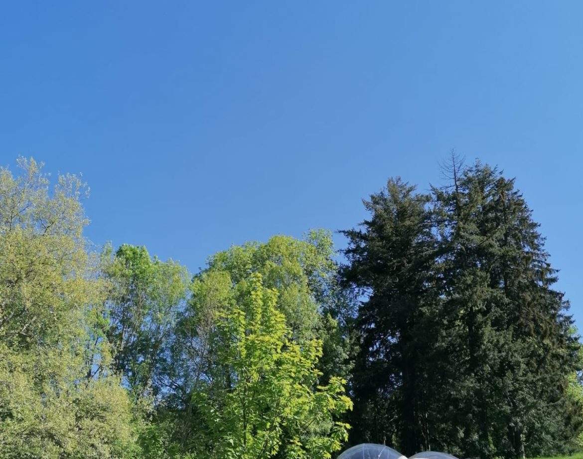 Hébergement insolite en bulle transparente, entouré de verdure et ciel bleu.