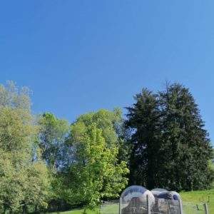 Hébergement insolite en bulle transparente, entouré de verdure et ciel bleu.