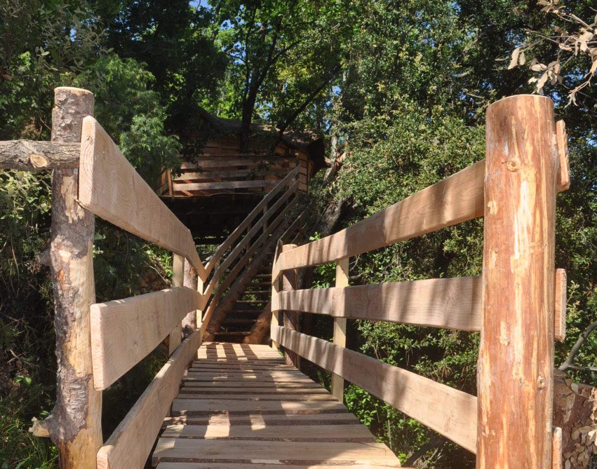 Cabane perchée en Auvergne-Rhône-Alpes, accessible par un pont en bois naturel.