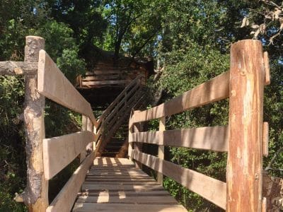 Cabane perchée en Auvergne-Rhône-Alpes, accessible par un pont en bois naturel.