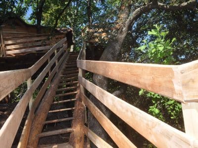 Cabane dans les arbres en Auvergne-Rhône-Alpes, accès par un escalier en bois.