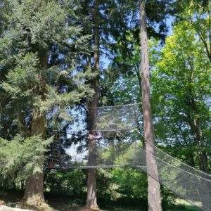 Cabane suspendue dans les arbres, entourée de grands sapins verdoyants.