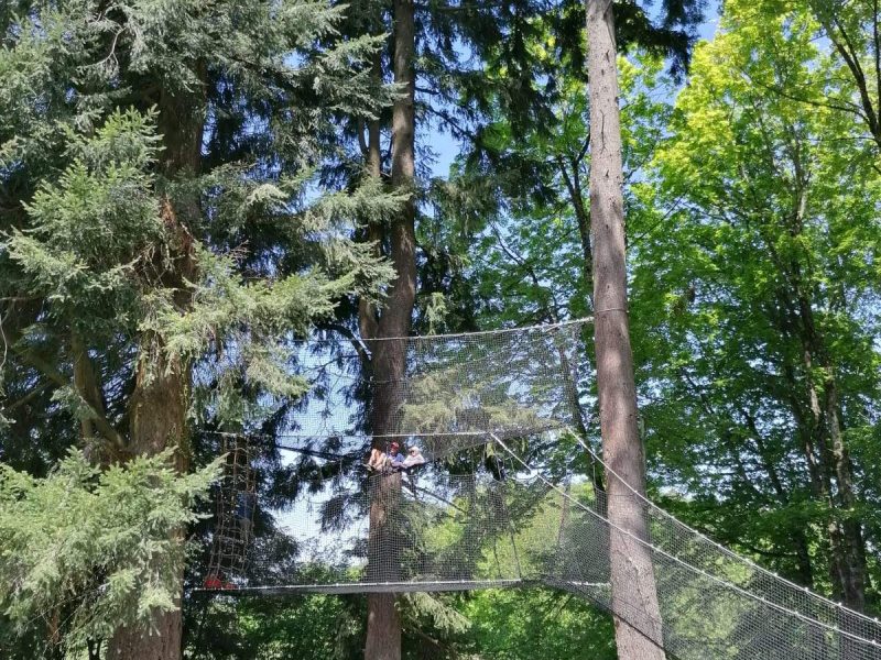 Cabane dans les arbres avec filet suspendu entre les sapins, idéale pour laventure.