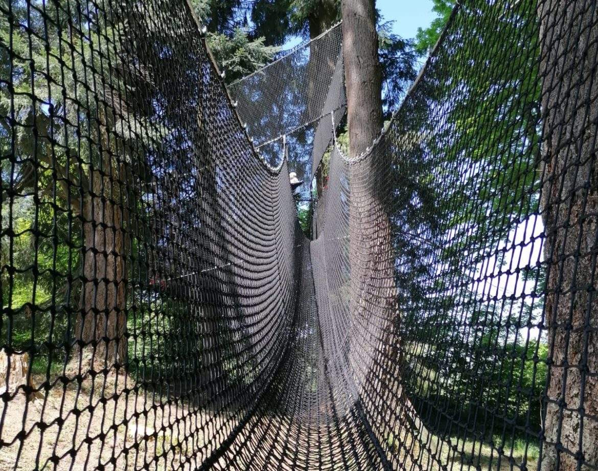 Hébergement insolite en filet suspendu entre les arbres, offrant une vue imprenable.