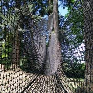 Hébergement insolite en filet suspendu entre les arbres, offrant une vue imprenable.