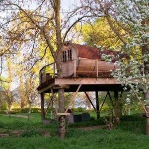 Cabane perchée en bois, entourée darbres et de fleurs blanches en Basse-Normandie.