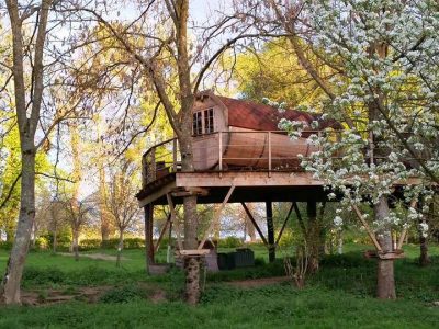 Cabane perchée en bois, entourée darbres et de fleurs blanches en Basse-Normandie.