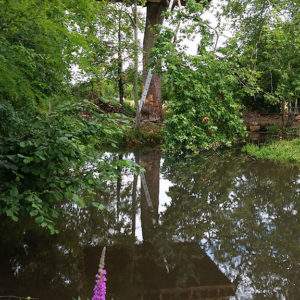 Cabane dans les arbres en Basse-Normandie, perchée au-dessus dun étang paisible.