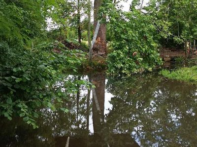 Cabane dans les arbres en Basse-Normandie, perchée au-dessus dun étang paisible.
