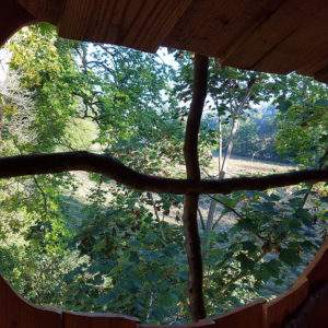 Cabane perchée en Basse-Normandie, vue sur la nature à travers une fenêtre originale.